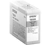 EPSON Ink Cartridge, Light Black, Genuine