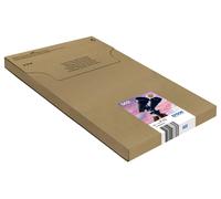 Epson Ink/Multipack 4-colours 502 EasyMail ink cartridge 1 pc(s) Standard Yield Black, Cyan, Magenta, Yellow