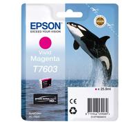 Epson Killer Whale Vivid Magenta Standard Capacity Ink Cartridge 26Ml - C13T7603