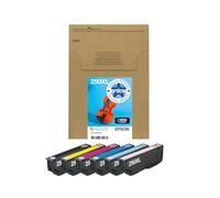 EPSON Multipack 6-colours 250XL Ink Easymail