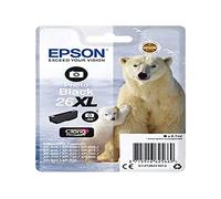EPSON 26XL ink cartridge photo black high capacity 8.7ml 400 photos 1-pack RF-AM blister