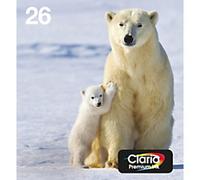 Epson Polar bear Multipack 4-colours 26 EasyMail