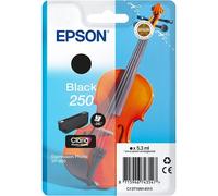 Epson Singlepack Black 250 ink