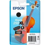 Epson Singlepack Black 250XL ink