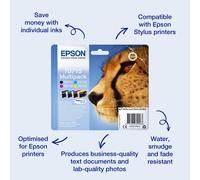 Epson Singlepack Black T0711 DURABrite Ultra Ink