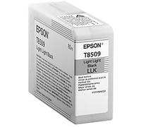 Epson T850900 Original Light Light Black Epson T8509 Ink Cartridge (C13T850900) Printer Cartridge