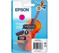 Epson Singlepack Magenta 250XL ink