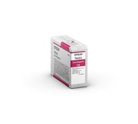 Epson Singlepack Magenta T850300