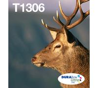 Epson T1306XL Stag Genuine High Yield Multipack, Eco-Friendly Packaging, 3-colours DURABrite Ultra Ink Cartridges