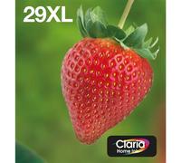 Epson Strawberry Multipack 4-colours 29XL Claria Home Ink