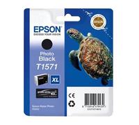 Epson T1571 (T157140) Photo Black Original Ink Cartridge (Turtle)