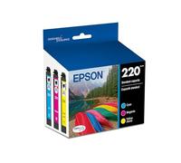 Epson T220520 DURABrite Ultra Color Combo Pack Standard Capacity Cartridge Ink (WF-2760, WF-2750, WF-2660, WF-2650, WF-2630, XP-424, XP-420, XP-320)