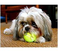 EPTIC Diamond Painting Lhasa Apso Dogs DIY Round Crystal Rhinestone Cross Stitch Painting Art Kit Home Decoration Craft Gifts 40x50CM