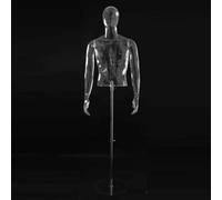 EPYBJYWQ Mannequin Half-Body Transparent Male Mannequin Bust, Lightweight Modular Manikin Torso, 140-190cm Height Adjustable
