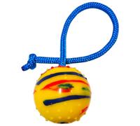 EQ K9 Ball on a Rope, Best Durable Dog Training Ball for Exercise and Reward, Throw & Fetch, Catch, Tug of War, Luring, Indoor & Outdoor, Bouncy, Dirt Resistant, Ø 5.7 cm