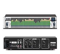 EQA31 Graphic Equalizer, Professional 31-band Digital Equaliser, Led Audio Sound Processor, Intelligent Automatic Noise Reduction Sound System, for Professional Performance, Stage, Concert
