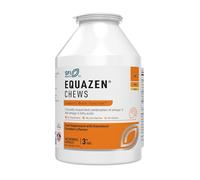 Equazen Strawberry Chews, Omega 3 and 6 Supplement, Blend of DHA, EPA and GLA, Supports Brain Function, Suitable for Children from 3+ to Adults, 360 Count (Pack of 1)