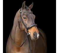 Equestrian bridle with English noseband Imperial Riding