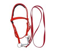 Equestrian Headstall - Red Horse Halter, Adjustable Riding Reins, Sturdy Bridle | Metal Hardware Nylon Construction, Soft Padded Noseband For Adult , Young , Draft , Riding, Tra