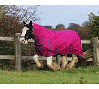 Equestrian King Lightweight No Fill Turnout Horse Rug 600D Standard And Combo Neck Waterproof Raspberry (Combo, 6'3'')