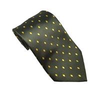 Equetech Kids Diamond Show Tie - Forest Green/Gold, One Size Uk