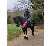 Equi Hi-Viz Safety Horse Breastplate/Neck Strap, Reflective 'Slow Down' Warning Strap, Multiple Colours, Hi-Vis (Pink/Yellow, Horse Size will fit 14.1 upwards)