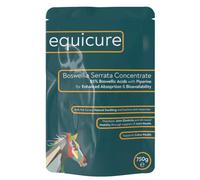 Equicure Boswellia Serrata Concentrate For Horses with 85% Boswellic Acid (750g Refill)