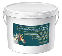 Equicure Boswellia Serrata Concentrate Powder For Horse/Pony (750g)