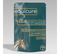 Equicure Boswellia Serrata Concentrate Powder For Horse/Pony (750g Refill)