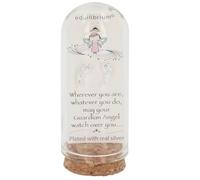 equilibrium Captured with Love Collection Stud Earrings - Silver Plated Sentimental Gift Earrings in Glass Bottle Presentation Keepsake (Guardian Angel)