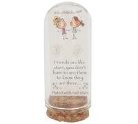 equilibrium Captured with Love Collection Stud Earrings - Silver Plated Sentimental Gift Earrings in Glass Bottle Presentation Keepsake (Friends)