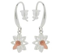 Equilibrium Daisy Chain Two Tone Drop Earrings, Silver and Rose Gold Plated, Floral Design, Gift Boxed