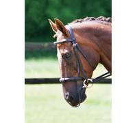 Equilibrium Net Relief - Muzzle Net (Brown, XL (Large Horse))