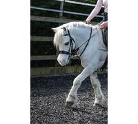 Equilibrium Net Relief - Muzzle Net (White, Small Pony)