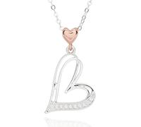 equilibrium Polished Two Tone Irregular Heart Necklace