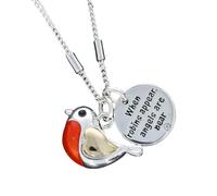 equilibrium Robin Charm Necklace Two Tone Silver Gold Bird Pendant When Robins Appear Angels are Near Gift Jewellery