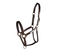 Equilibrium Stellar All Weather Headcollar Brown - Large