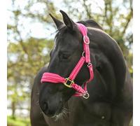 equilibrium Stellar Style Safety Headcollar (Pink, L)