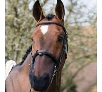 Equilibrium Two Pack Net Relief Cavesson Muzzle Net - Black - Size: X Large