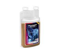 Equine America Uls Gard Solution | Premium Ready To Use Horse & Pony Nutritional Supplement | For Digestive Health | 1 Litre