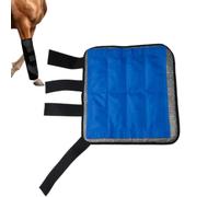 Equine Ice Boots Cold Bandage Reusable for Equine Ankle