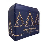 Equinox DJ Booth Lycra Merry Christmas Design