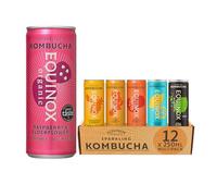 Equinox Kombucha 6 Flavour Mixed Case (12 x 250ml) | Sparkling Live Cultured Probiotic Drink for Gut Health | Low Calorie, 100% Natural, No Sweeteners | Made & Brewed in UK