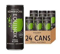 Equinox Kombucha Cola & Lime Real Fruit Kombucha Flavours (24 x 250ml) | Authentic Craft Kombucha Brewed in UK with SCOBY, Green Tea & Raw Cane Sugar | No Sweeteners & 100% Natural
