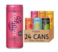 Equinox Kombucha Real Fruit Kombucha Mixed Flavours (24 x 250ml) | Authentic Craft Kombucha Brewed in UK with SCOBY, Green Tea & Raw Cane Sugar | No Sweeteners & 100% Natural