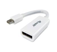 Equip Mini DisplayPort to DisplayPort adapter
