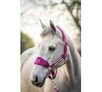 Equipride LUXURY FLEECE UNICORN HEADCOLLAR SET LEAD ROPE FULL-MINI SHETLAND (Shetland, Fuchsia)