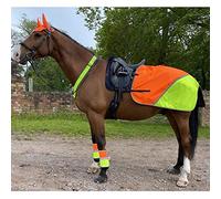 Equisafety Hi Viz Multi-coloured Mesh Ears Fly Veil For Horses & Ponies - Orange/Yellow (Horse)