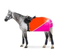 Equisafety Multi Coloured Waterproof Hi Viz Exercise Sheet - Pony (normal rug size 5'9 - 6'0) · Pink and Orange