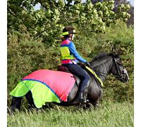 Equisafety Reflective Summer Hi-Viz Exercise Sheet - Cob (normal rug size 6'3 - 6'6) · Pink and Yellow